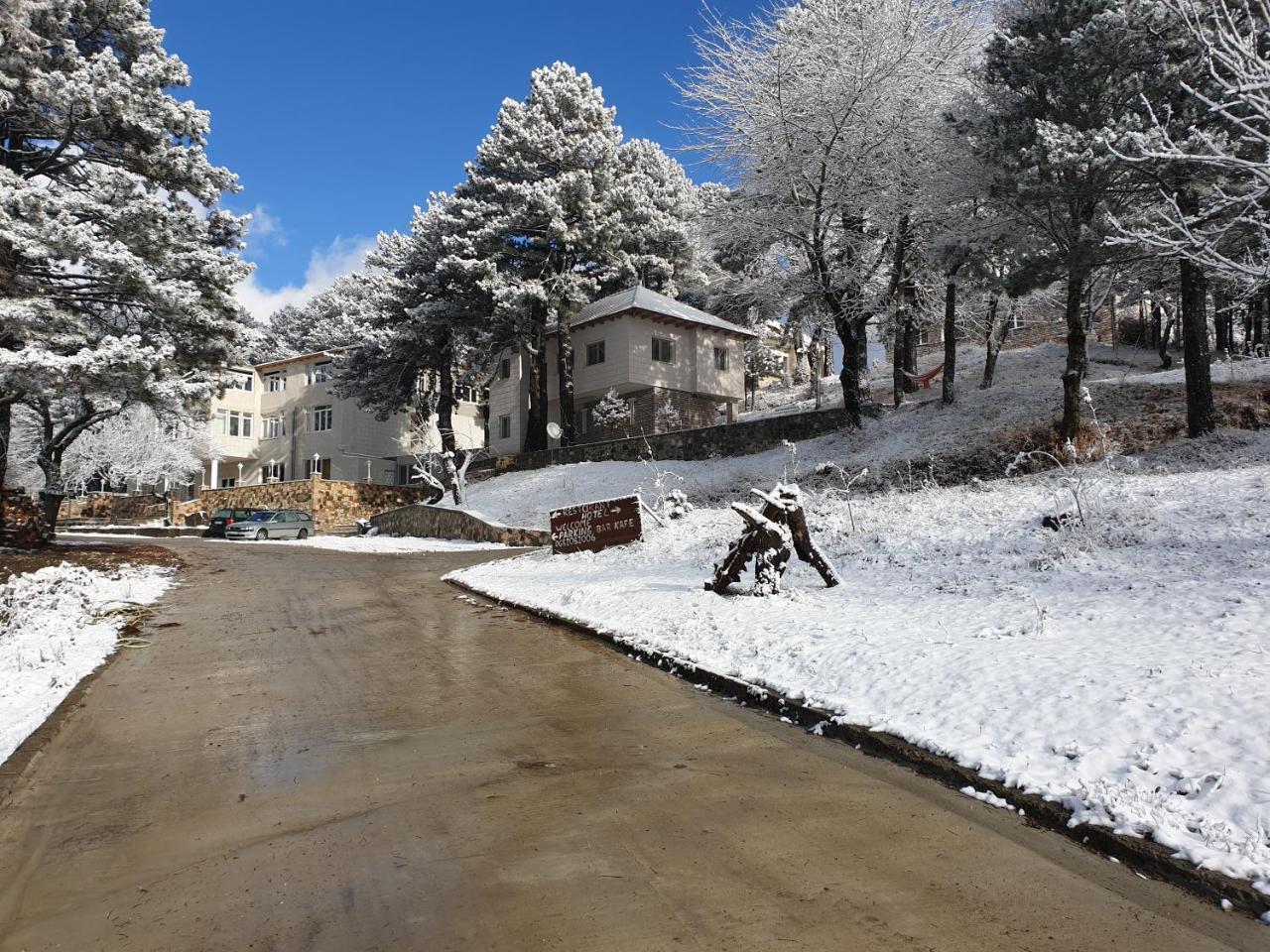 Shkreli Resort Qafeshtame Cudhi-Kamt Eksteriør bilde